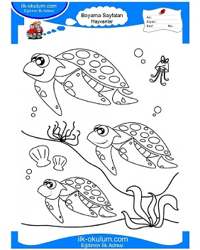 Çocuklar İçin Kaplumbağa Boyama Sayfaları 